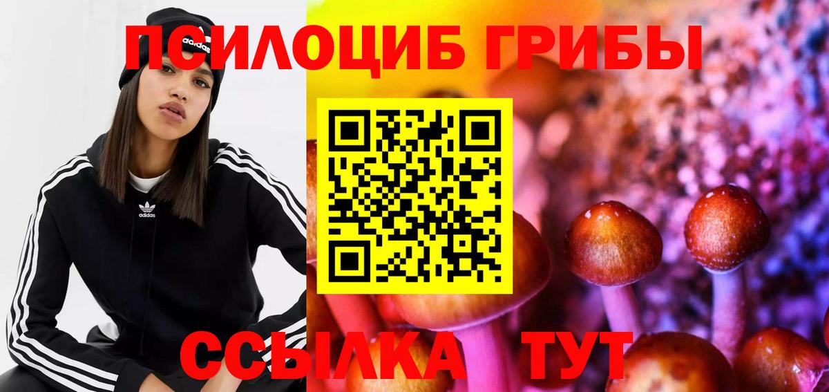 Псилоцибиновые грибы GOLDEN TEACHER Ессентуки